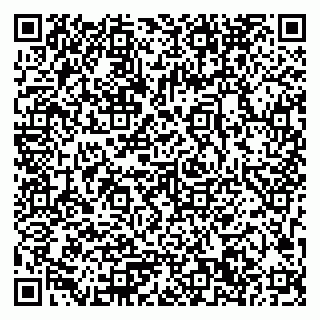 vCard 79033780164