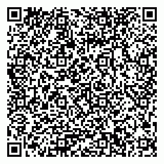 vCard 79033780175