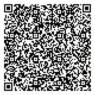 vCard 79033780177