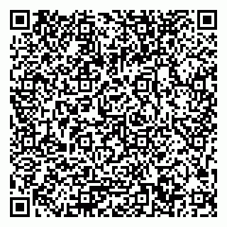 vCard 79033780179
