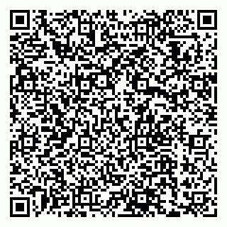 vCard 79033780180