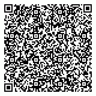 vCard 79033780184