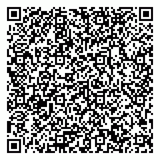 vCard 79033780190