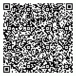 vCard 79033780196