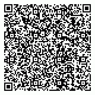 vCard 79033780197