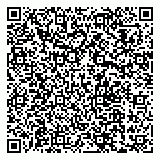 vCard 79033780200