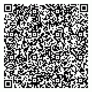 vCard 79033780201