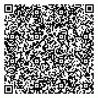 vCard 79033780202