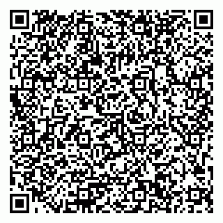 vCard 79033780204
