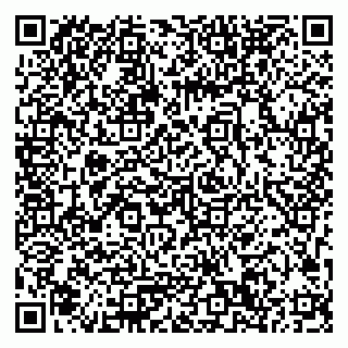 vCard 79033780206