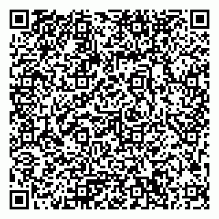 vCard 79033780207