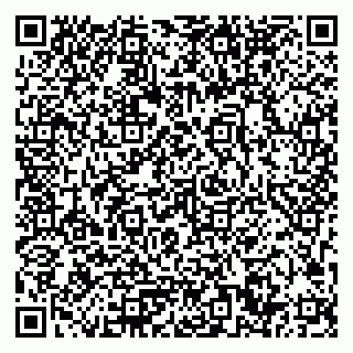 vCard 79033780208