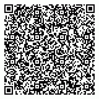 vCard 79033780209