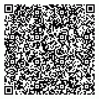 vCard 79033780210