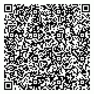 vCard 79033780211