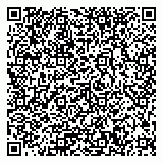 vCard 79033780212