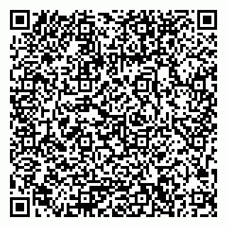 vCard 79033780213