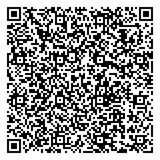 vCard 79033780214
