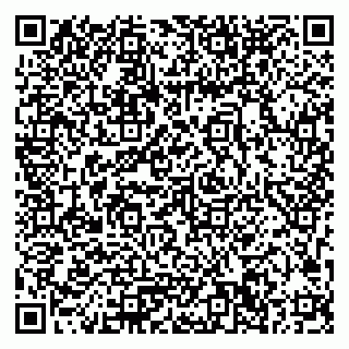vCard 79033780215