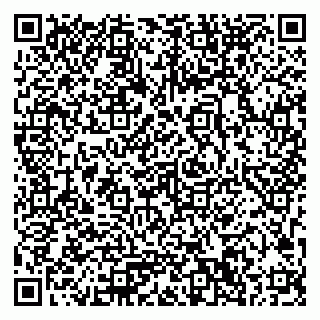 vCard 79033780217