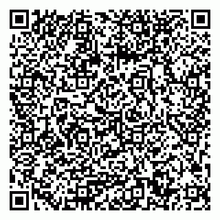vCard 79033780218