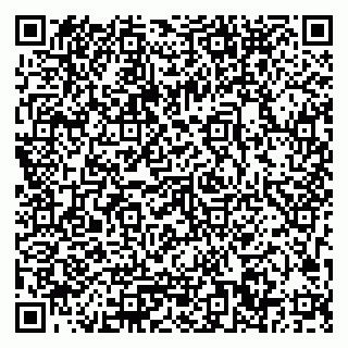 vCard 79033780219