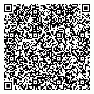 vCard 79033780220