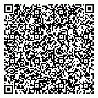 vCard 79033780221