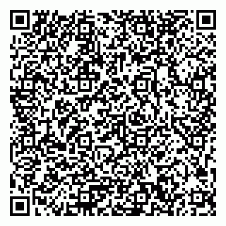 vCard 79033780222