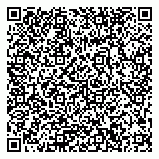 vCard 79033780223