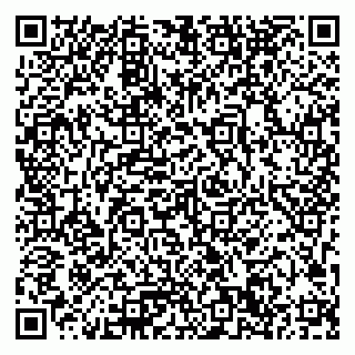 vCard 79033780224
