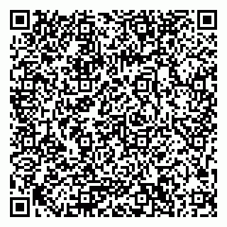 vCard 79033780227