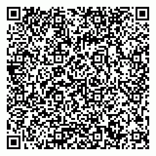 vCard 79033780228