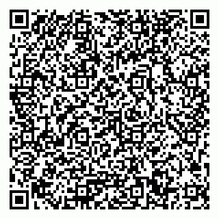 vCard 79033780229