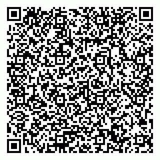 vCard 79033780230