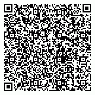 vCard 79033780231