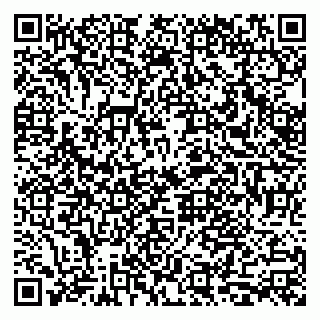 vCard 79033780234
