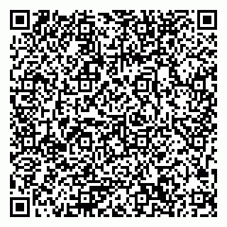 vCard 79033780236