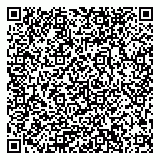 vCard 79033780237