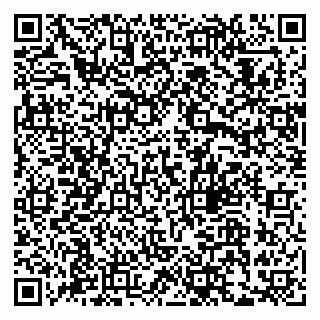 vCard 79033780238
