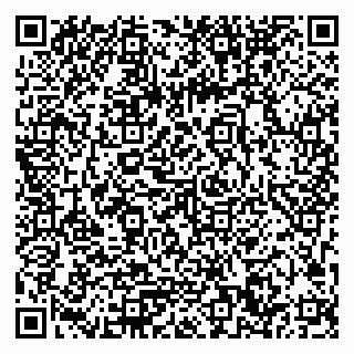 vCard 79033780240