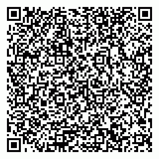 vCard 79033780241
