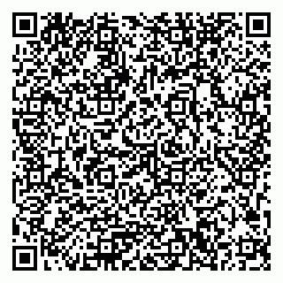 vCard 79033780243