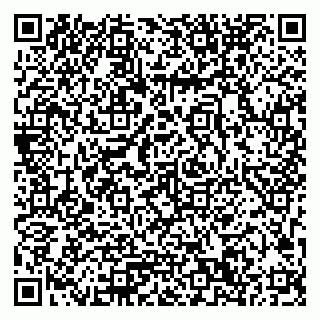 vCard 79033780246
