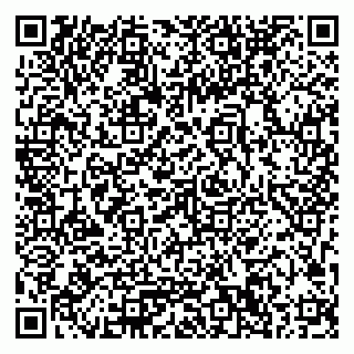 vCard 79033780247