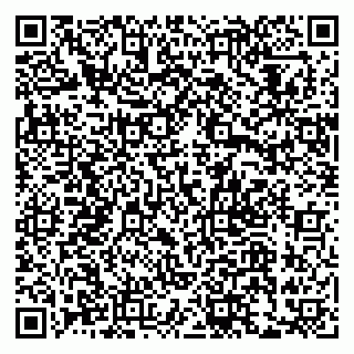 vCard 79033780248