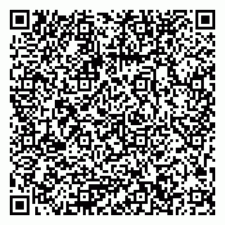 vCard 79033780251