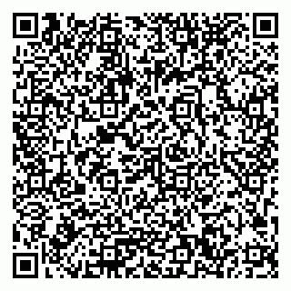 vCard 79033780252