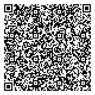 vCard 79033780254