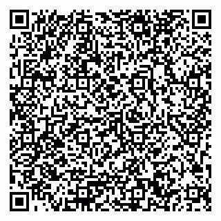 vCard 79033780260